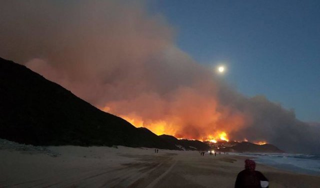 Feuer Knysna 2017 Südafrika