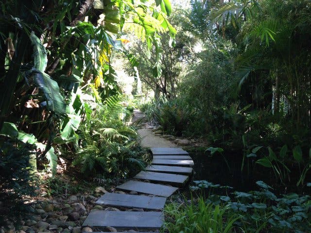 Weg im botanischen Garten Stellenbosch