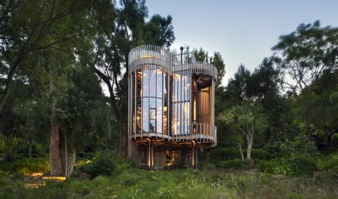 Treehouse Paarman Kapstadt