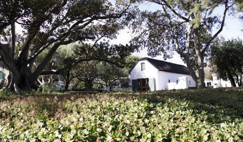 Wild Fig Observatory