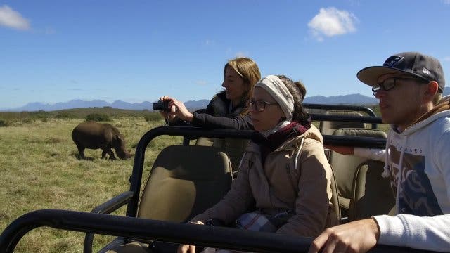 hallo deutschland mondän "kapstadt-traumziel unterm Tafelberg" Ranger Safari