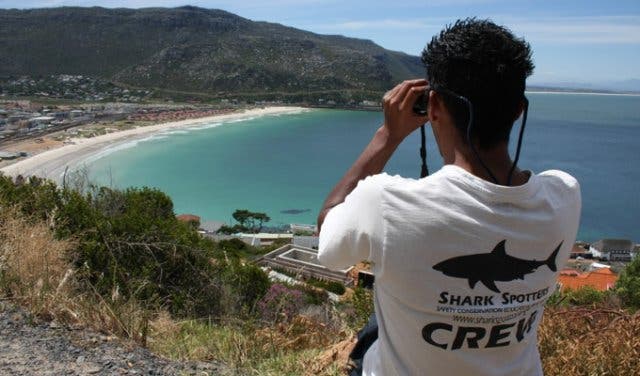 Shark Spotter App Kapstadt