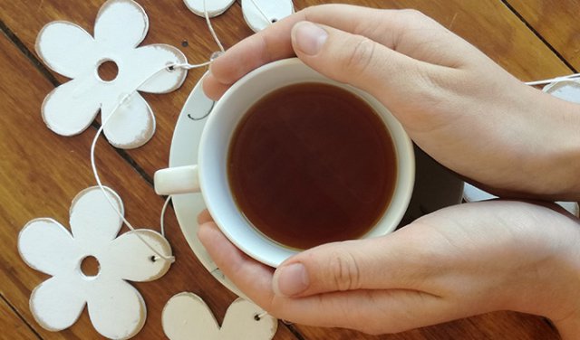 Rooibos Tee Kapstadt