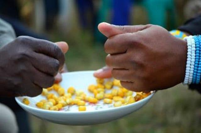 Linkobe südafrikanisches Essen Mais