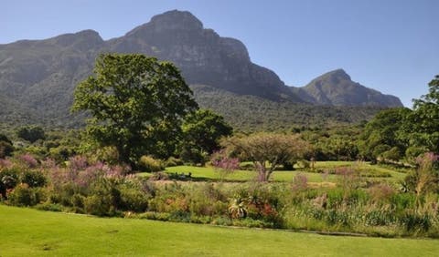 Stunde der Dunkelheit Buch