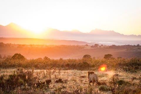 Gondwana Game Reserve