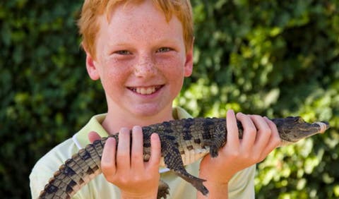 Le Bonheur Krokodil Farm